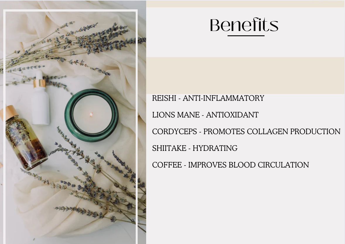 Lunar Life Moon Tallow Mushroom - Coffee Body Cream
