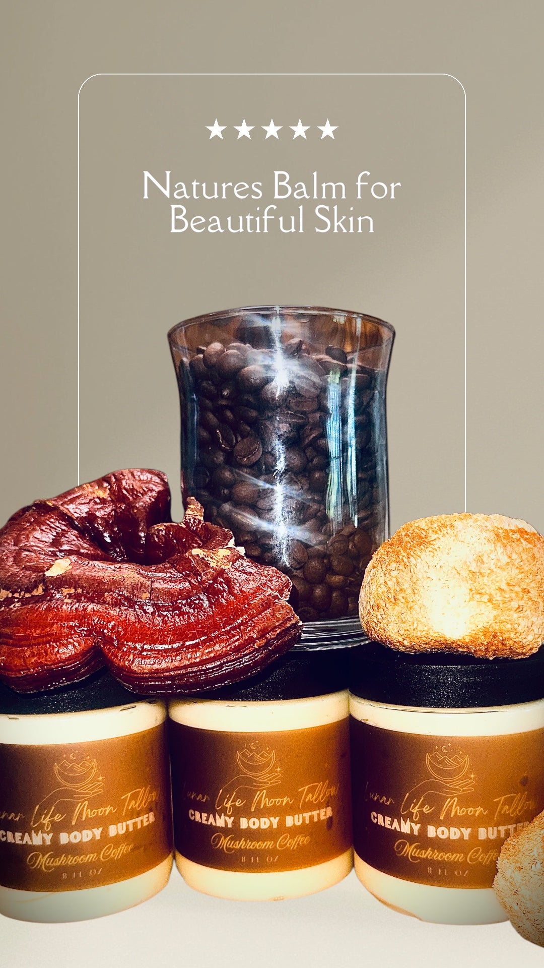 Lunar Life Moon Tallow Mushroom - Coffee Body Cream