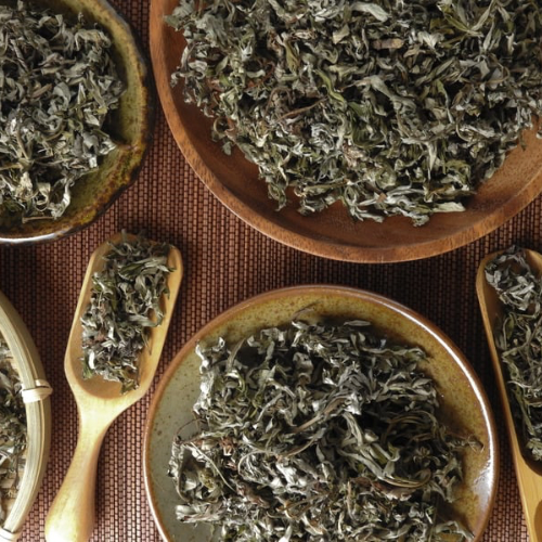 Lunar Life Lucid Dreams Tea